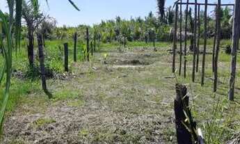 Imagem 5: Dois Terrenos 10x30 na estrada da Raposa