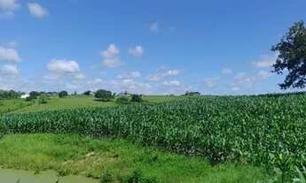 Imagem: Sítio excelente em Nossa Senhora Aparecida