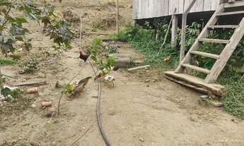 Imagem 2: V/T um sítio Chácara com venda por R$10.000