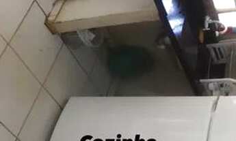 Imagem 2: CASA DE TRÊS QUARTOS