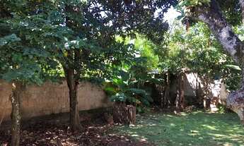 Imagem 4: Casa na arniqueiras