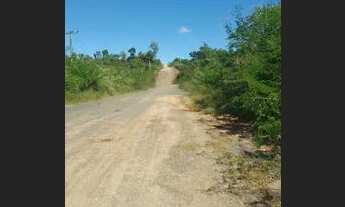 Imagem 3: Vendo um lote de terra