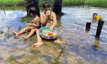 Imagem 3: Vendo ou troco em casa em Goiânia sito 10 alqueire