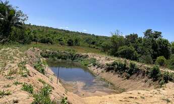 Imagem 6: Vendo ou troco em casa em Goiânia sito 10 alqueire