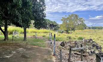 Imagem 5: Chácara Premium em Trindade-GO ! 1 Alqueire ! Oportunidade Unica !