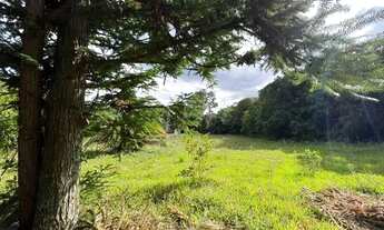 Imagem 7: Sítio Com Entrada De 4.900 E Parcelas De 650. ROB:310