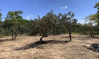Imagem 7: Chácara 9000m², Energia, Linda Vista, 600m da Rod, 4km Aragoiânia