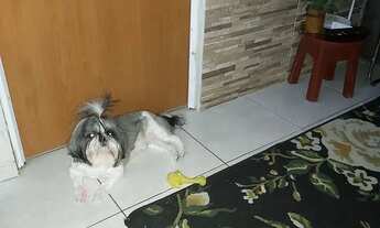 Imagem 2: Vende-se Apartamento com 2 dormitórios