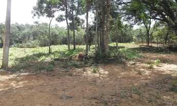 Imagem 4: Linda chácara de 4 mil metros com um chalé(Temos varias opções)