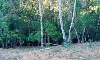 Imagem 4: TERRENO PRONTO PARA CONSTRUIR