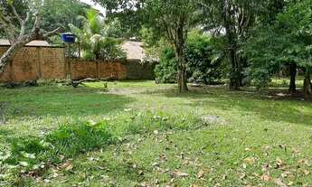 Imagem 3: Lindo Terrenão de 5000 m : com ônibus na porta