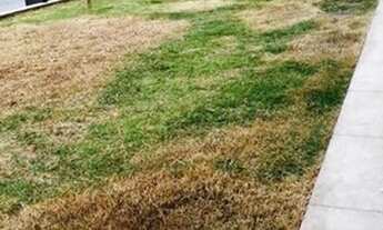 Imagem 6: LINDA CASA REFOMADA!