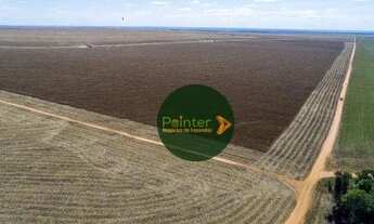 Imagem 2: Fazenda com 2 dormitórios à venda, 50000 m² por R$ 270.000.000 - Zona Rural - Nova Maringá