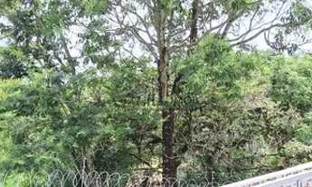 Imagem 7: Vale Verde - Casa Térrea com 03 suítes