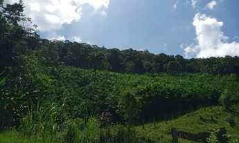 Imagem 4: Sítio em Juquiá