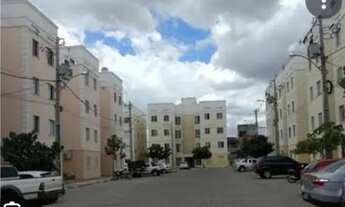 Imagem 7: Aluguel no Central Park