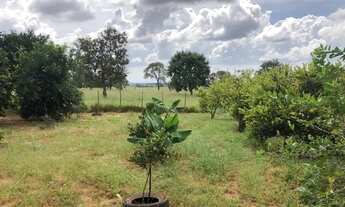 Imagem 7: Vendo chácara Chácara com venda por R$700.000