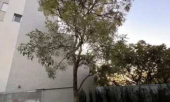 Imagem 3: Apartamento novo, 2 quartos com suite e 2 vagas