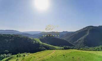 Imagem 7: Campo Largo, 52 alqueires / Confinamento Gado/ Haras