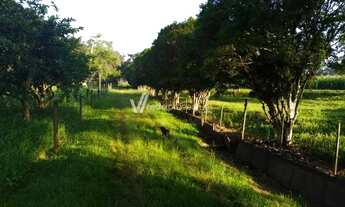 Imagem 4: Sítio - Ferraz - Rio Claro