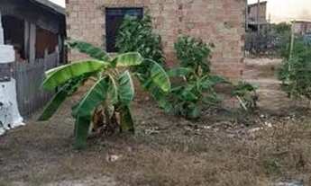 Imagem 2: Aluga-se Casa com 1 dormitório