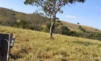 Imagem 7: Fazenda município de Cocalzinho-go
