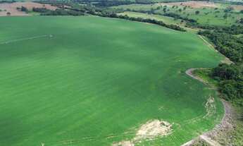 Imagem 3: Fazenda Itaberaí
