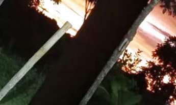 Imagem 2: Chácara 18 mil m²