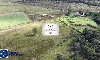 Imagem 3: Chácara à Venda em Vila Propício GO | 8 Alqueires