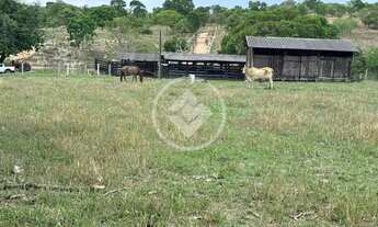 Imagem 3: Goiás - Fazenda de 45.5 Alqueires codigo: 141280