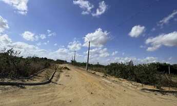 Imagem 2: Vendo Terreno no Povoado bálsamo - Arapiraca