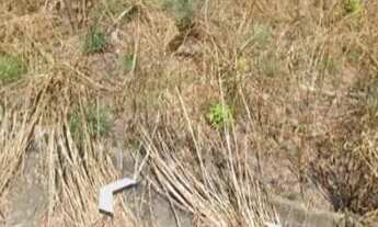 Imagem: Lote 12,5 por 25