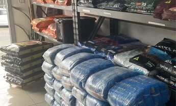 Imagem 5: PET ROQUE Galpão / depósito com 2 vagas na garagem