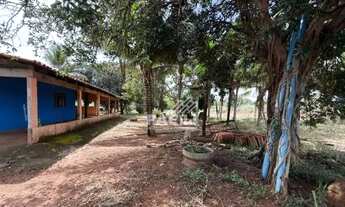 Imagem 2: Vende-se Chácara de 50mil m²