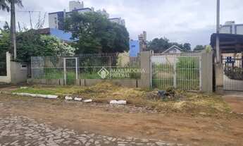 Imagem 5: Terreno plano , pronto para construir