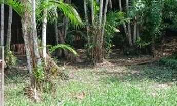 Imagem 7: Casa Casa com 1 dormitório