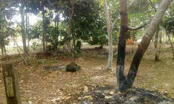 Imagem 3: /Lote com 800 M2 em Açutuba - Iranduba