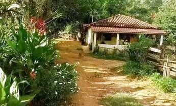 Imagem: Procuro chácara para alugar moradia