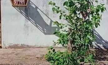 Imagem: Casa com 2 dormitórios à venda, 50 m²