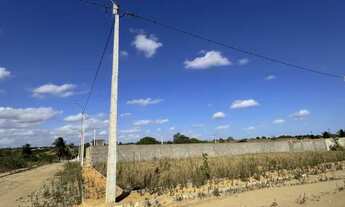 Imagem 4: Vendo Terreno no Povoado bálsamo - Arapiraca