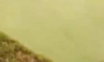 Imagem 7: Sítio 150 x 350 Rio Preto da Eva 530.000