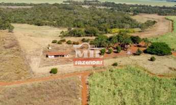 Imagem 5: Fazenda 113 alqueires (547 hectares ) Acreuna - go