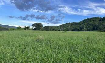 Imagem: Fazenda 63 alqueire