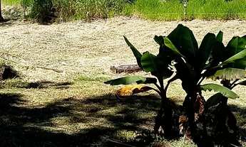 Imagem 4: Lotes Terreno / lote com venda por R$140.000