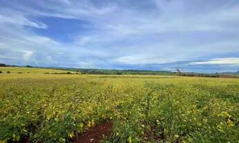 Imagem 5: Fazenda a Venda - Itaberaí - GO