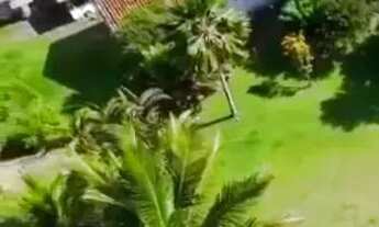 Imagem 4: Dando Terreno pé na areia de frente em Massaguaçu - Caraguatatuba - SP