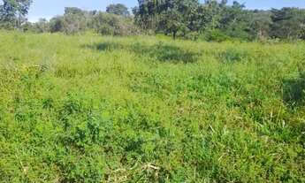 Imagem 7: Fazenda 55 Alqueires BR 414 Cocalzinho de Goiás