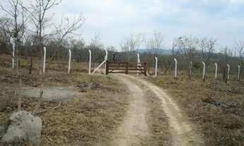 Imagem 6: Chácara escriturada no Coxipo do Ouro, localização bem reservada