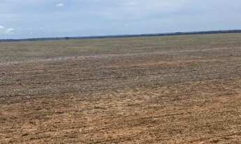 Imagem 6: Fazenda de 2.396 hectares na região da cidade de Jangada no estado de Mato Gross