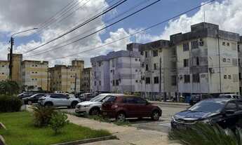 Imagem 4: COHAFUMA NOVO TEMPO II